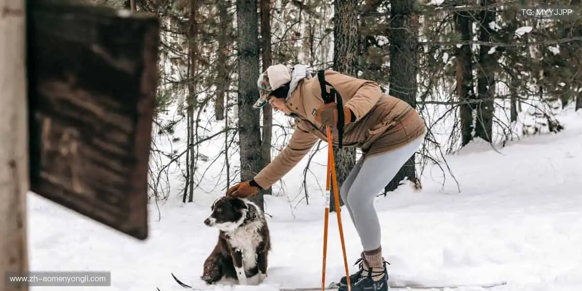 综合娱乐升级乐园：所有游戏类型全掌握，沉浸体验燃情中